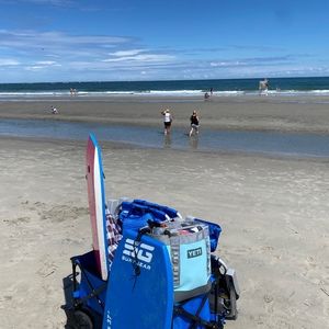 Meet your Posher, Bella